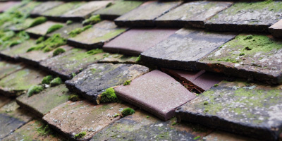 Southwell roof repair costs